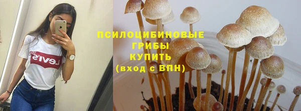 крисы Алексин