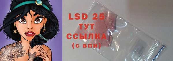 гидра Горняк